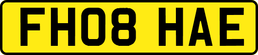 FH08HAE