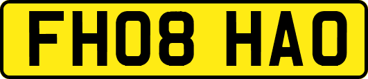 FH08HAO