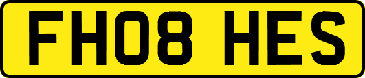 FH08HES