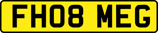 FH08MEG