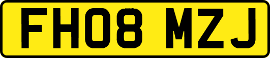 FH08MZJ