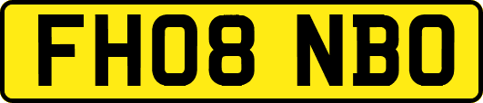 FH08NBO