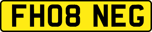 FH08NEG