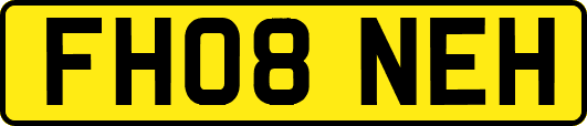 FH08NEH