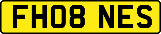 FH08NES
