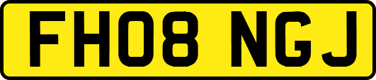 FH08NGJ