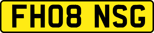 FH08NSG