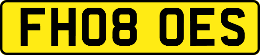 FH08OES