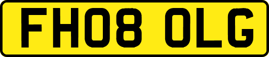 FH08OLG