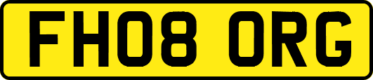 FH08ORG