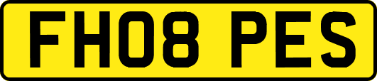 FH08PES
