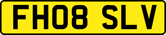 FH08SLV