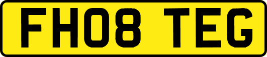 FH08TEG