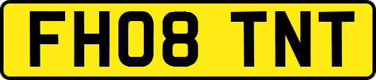 FH08TNT