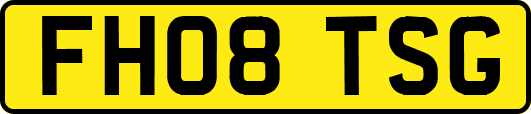 FH08TSG