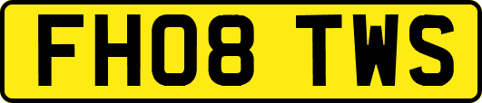 FH08TWS
