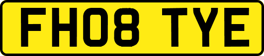 FH08TYE