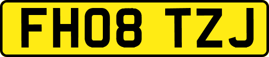 FH08TZJ
