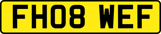 FH08WEF