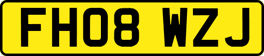 FH08WZJ