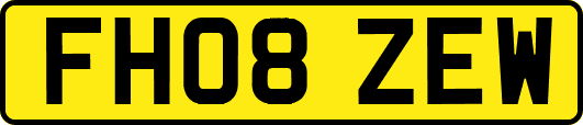 FH08ZEW