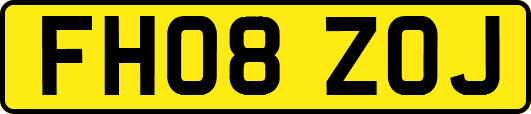 FH08ZOJ
