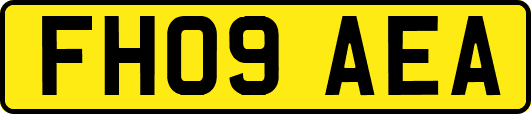FH09AEA