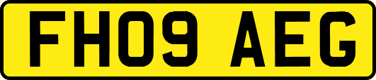 FH09AEG