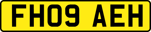 FH09AEH