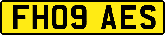 FH09AES