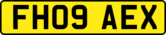 FH09AEX