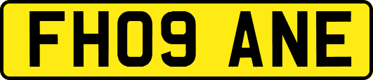 FH09ANE