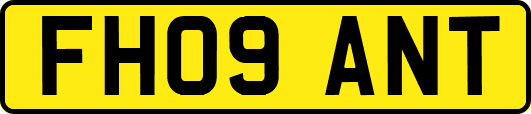 FH09ANT