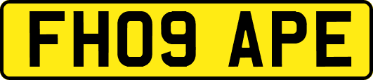 FH09APE