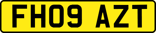 FH09AZT