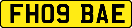 FH09BAE