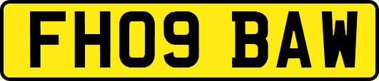 FH09BAW
