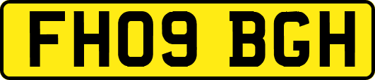 FH09BGH