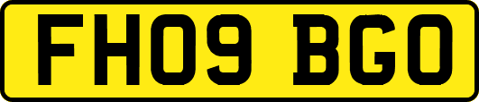 FH09BGO