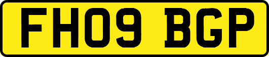 FH09BGP