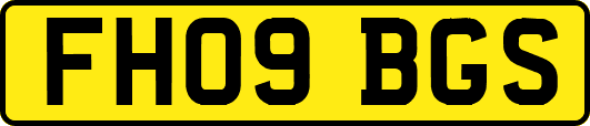 FH09BGS
