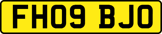 FH09BJO