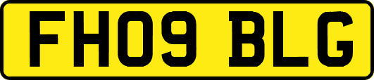FH09BLG