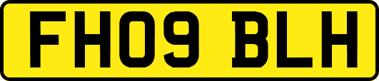 FH09BLH