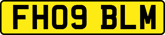 FH09BLM