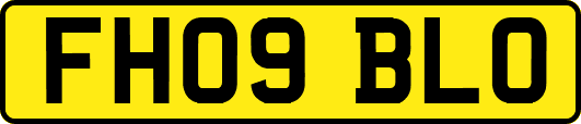 FH09BLO