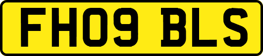 FH09BLS