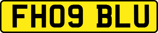 FH09BLU