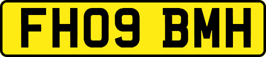 FH09BMH