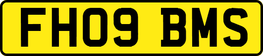 FH09BMS